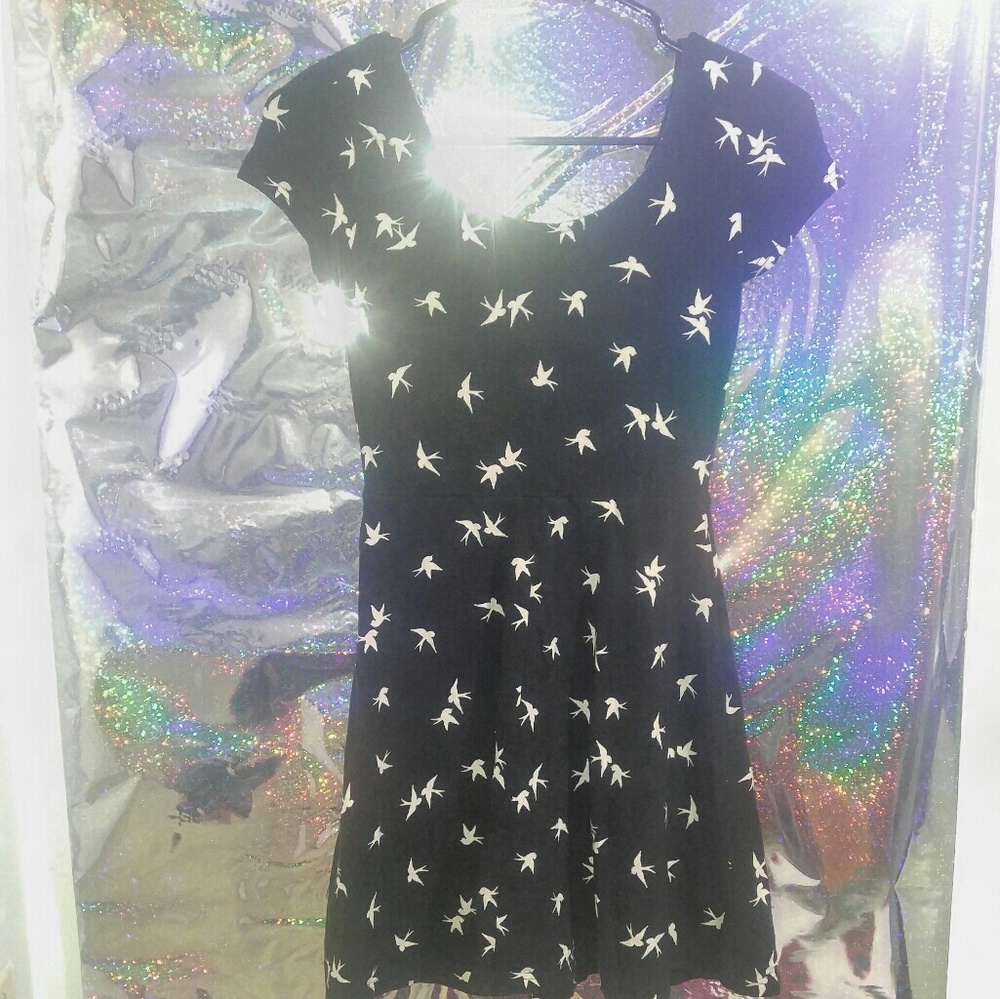 H&M Divided Swallow Bird Print Knit Skater Dress